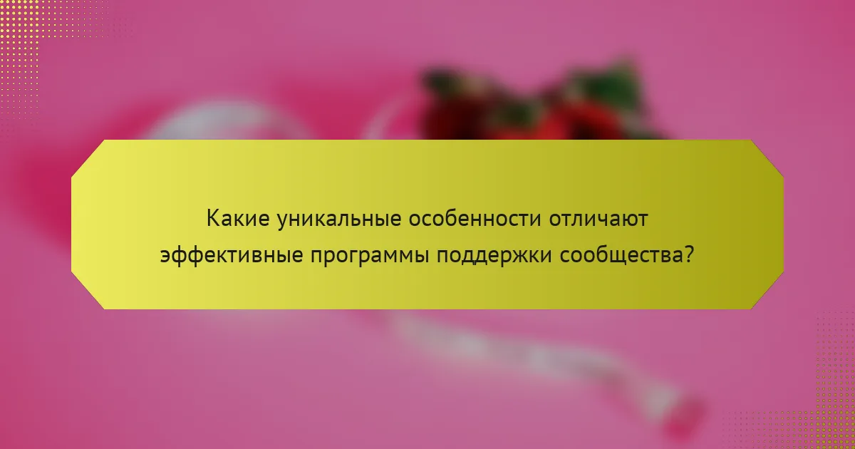Какие уникальные особенности отличают эффективные программы поддержки сообщества?